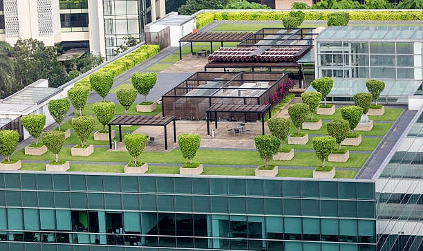 Un acoperiș plat poate deveni și o grădină de legume și plante medicinale sau un loc de relaxare.