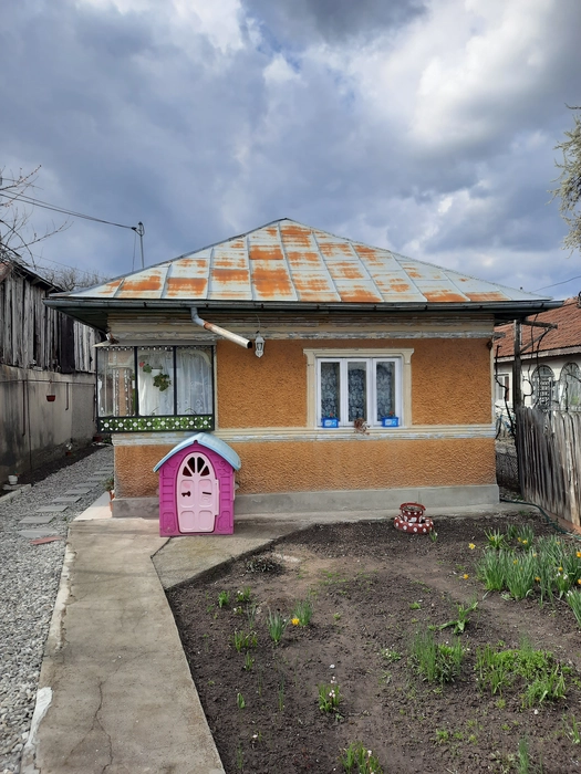 Acoperiș metalic ruginit pe o casă suburbană (13741)