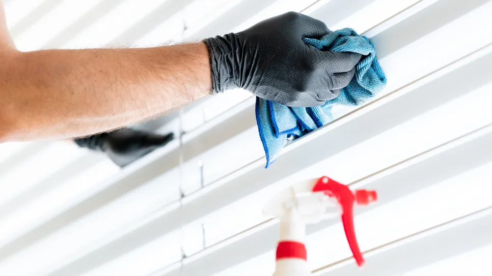 curățarea obloanelor