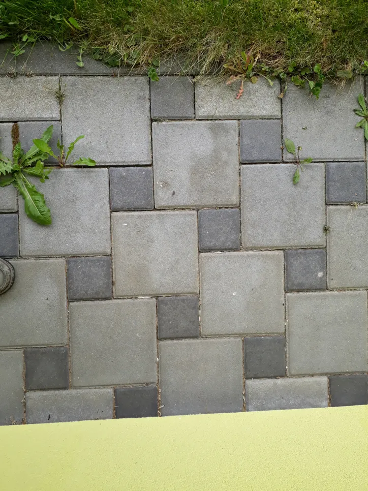 Creșterea ierbii între pavelele de patio Iarba crește între pavelele de patio gri și gri închis, indicând necesitatea îndepărtării și întreținerii.