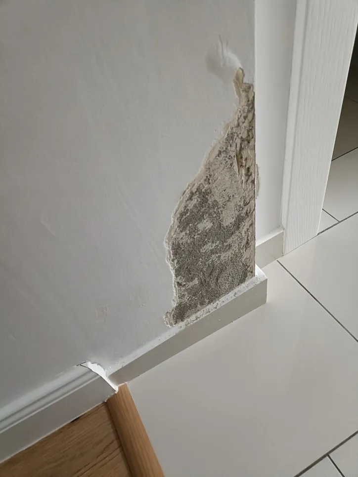 Peeling wall paint with dampness (33467) Peeling paint on a wall indicates possible moisture damage or dampness in the building structure.
