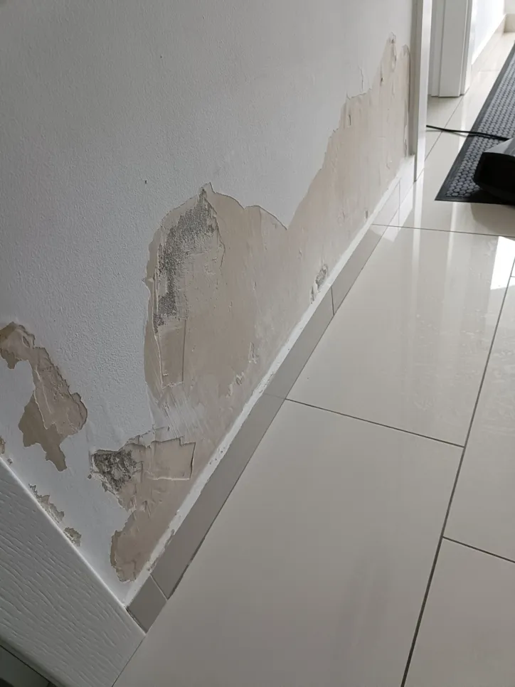 Wall peeling due to moisture damage (33468) Peeling wall paint indicating moisture damage near the base, exposing plaster underneath.
