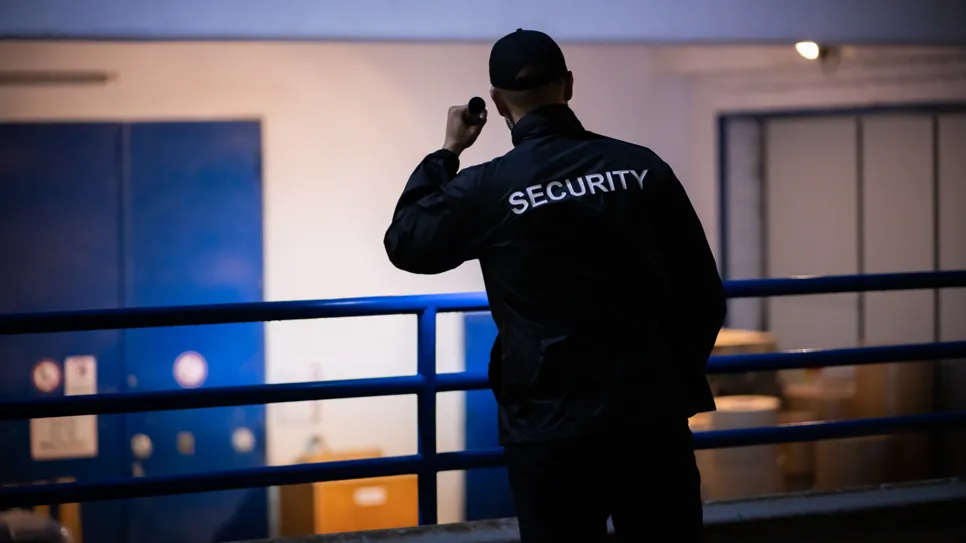 Agent de securitate de noapte agent de securitate de noapte