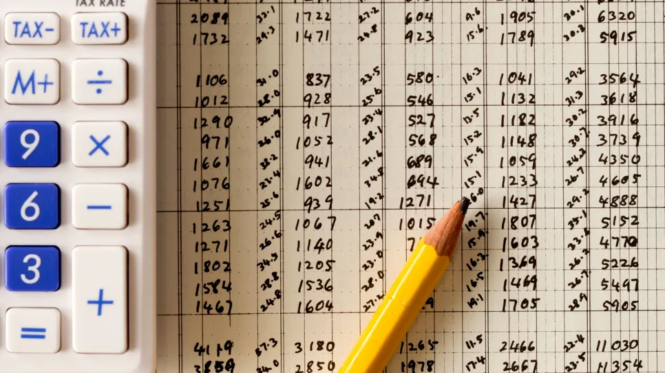 Auditul situaţiilor financiare Auditul situaţiilor financiare